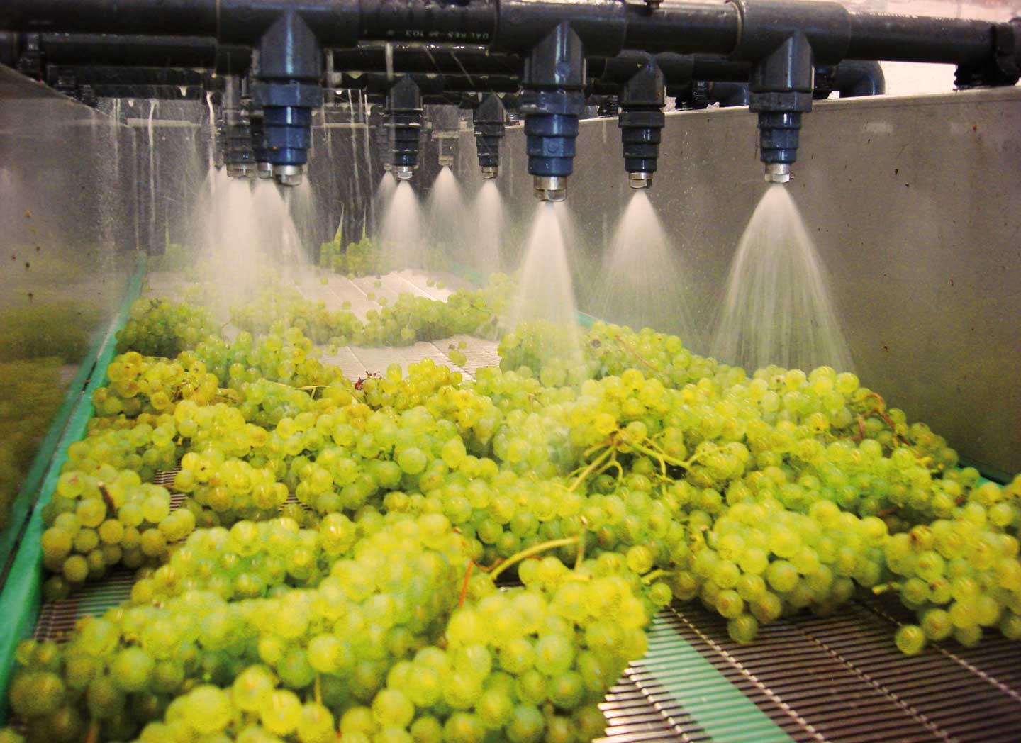 Embopack ibérica nuevas instalaciones